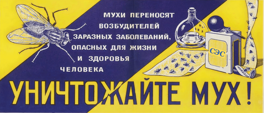 уничтожение мух уничтожение мух
